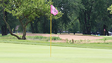 Kailyn Rhea Foundation 2021 Golf Outing